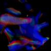 High Dimensional Direct Rendering of Time-Varying Volumetric
