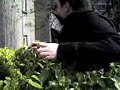 Tippin In The Bush at Lunchtime