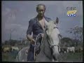 Renny Ottolina - Comercial de las vacas y el tr�nsito