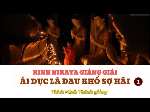 Kinh NIKAYA Giảng Giải - Ái Dục Là Đau Khổ Sợ Hãi 1