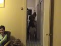 M.I.A. hallway dance M.I.A. hallway dance