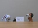 Flat Classroom Project EE