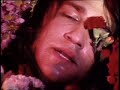 Afghan Whigs - You My Flower