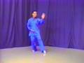 Master Shouyu Liang & Sam Masich (Form & Applications - Beginner/Intermediate) 24 Movement Simplified Taijiquan has been studied by practitioners around the world and is the