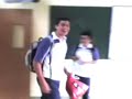 Papardo emosexual