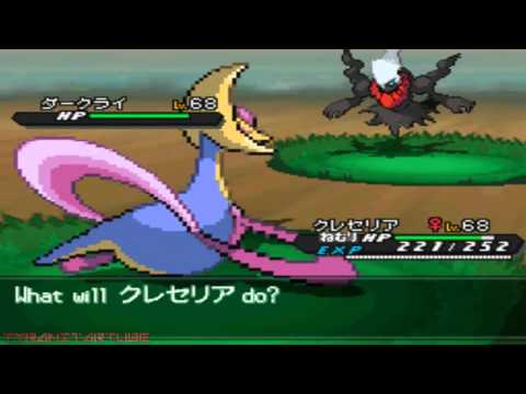 pokemon black pokemon black