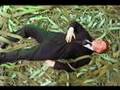 Jonathan Meades :: Surrealism (4/5)