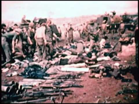 vietnam - VIETNAM American Holocaust (Documentary) Narrated by Martin Sheen This is a highly informative and educational documentary. There is no government on planet ...