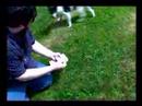 sunshower bloopers