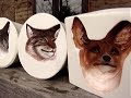 a must see an optical illusion. where to buy them - watch my blog http://video-illusion.blogspot.com/