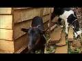 Witness - Bama's journey - 31 July 08 Part 1
