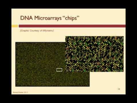 mi 3 1 4 dna microarrays sqworl