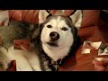 I liked a YouTube video http://lnk.ms/P22NN