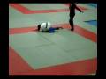 Campeonato de Andalucía de judo alevín 2008