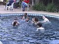 YRR Pool Party 2008 - dancing in water