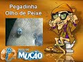 Mucao-com-br-Pegadin