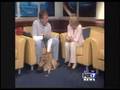 rusty the lone star catahoula rescue pup