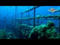 Immersioni nel Canale di Sicilia Parte 2