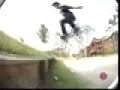 Andrew reynolds