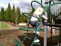videos de Woodinville Park 2008 5