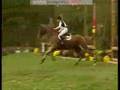 montage concours