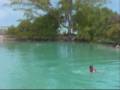 Montage videos Mataiva