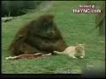 YouTubeサムネイル[pWwB2v6xxOU] - 2枚目