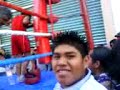 box en palo solo rafael campion