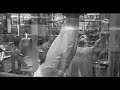 Animalpak Delts Preview