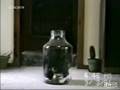 Cat into bottle