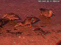 Homemade 3D video. Red/Cyan glasses needed.