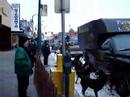 Iditarod 2008 Pre Race Staging Area 1