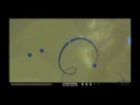 V�deo PixelJunk Eden - Garden 1  Speedrun Redone - Full Clear All Spectra