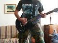 Rammstein - Pussy [Guitar Cover]