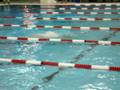 400 IM Newmarket Invite 2008