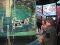 ROV Family Event 4/5/08