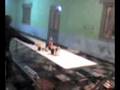 videos de colombara chupado y desaparecido