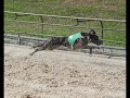 SOMOS OVAL TRACK RACING.wmv