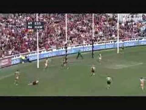 Hawthorn vs Essendon Round 6 AFL - ...