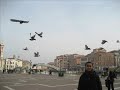 Venice.5th vid Venice.5th vid