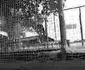 trampolina