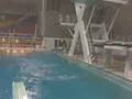 videos de Deanna's diving splat