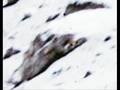 Re: APOLLO 20 ALIEN SPACESHIP ON THE MOON CSM FLYOVER 2