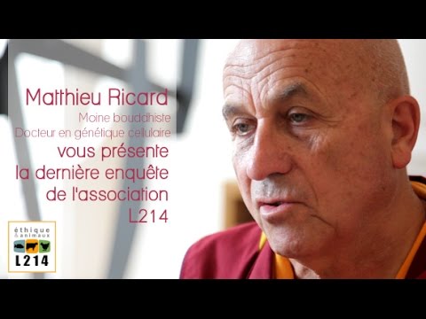 Image de prévisualisation YouTube