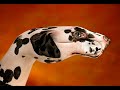 Hand painting - Manimali (Guido Daniele) Hand painting - Manimali (Guido Daniele)