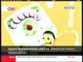 Creta Farm - CNN