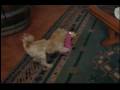 videos de dulce y sus gracias