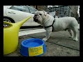 TOP 10+1: Cele mai tari campanii de promovare (BTL) - &nbsp;Promovarea Ikea (Ambient) (embed)