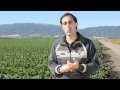 Meet A Progressive Family Farmer 