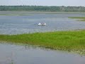 Tawas Lake, East tawas, MI